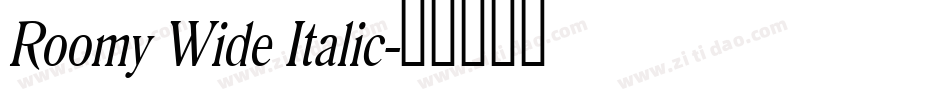 Roomy Wide Italic字体转换